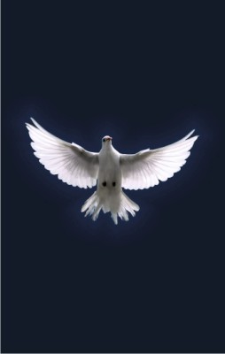 0809 holy spirit